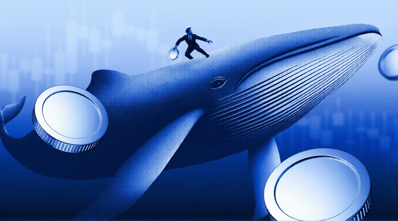 Apa Saja yang Crypto Whale Beli dan Jual Menjelang Rapat FOMC Maret