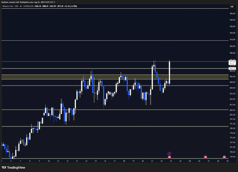 New Outlook Binance Coin 2025