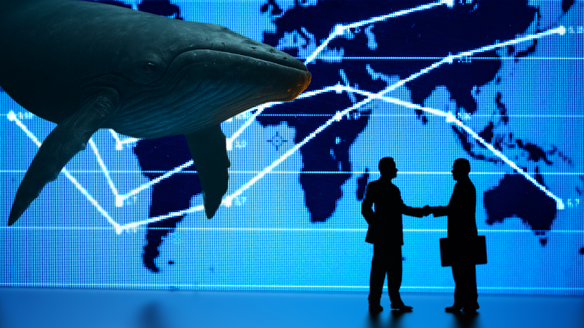 Whale Alihkan Miliaran Dolar dari Bitcoin ke Ethereum, Sinyal Pergeseran Arah Pasar Kripto